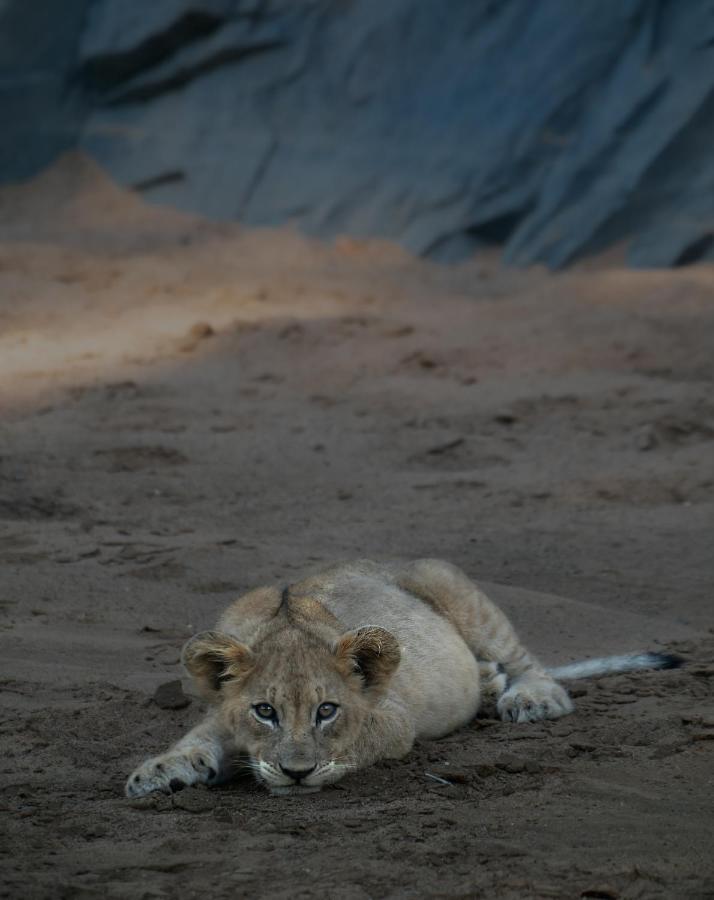 Rhino Sands Safari Camp Manyoni Private Game Reserve Экстерьер фото